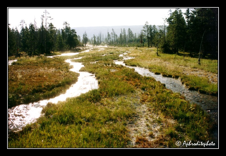 Yellowstone NP